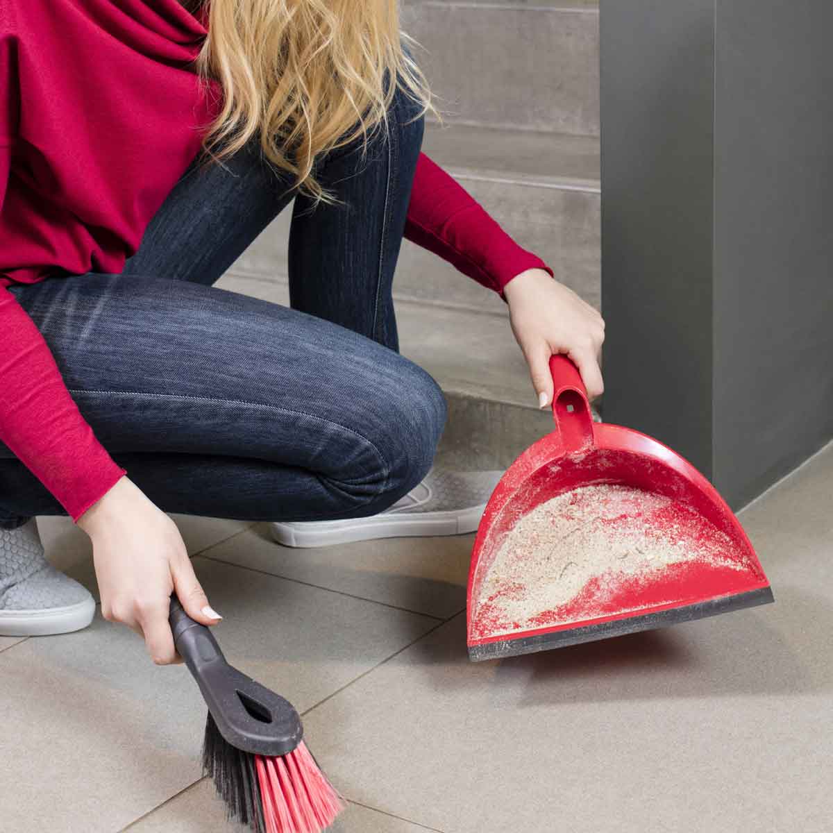 Vileda 2 in 1 Dustpan & Brush Set